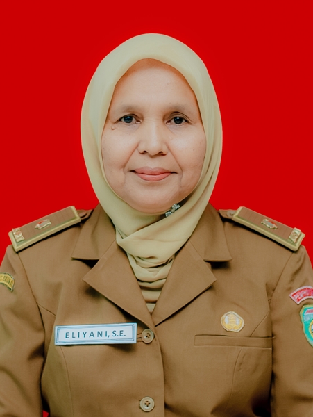 <center>-<br>Eliyani, S.E.</center>